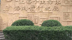 【景觀雕塑廠家】制作，多少錢，價格